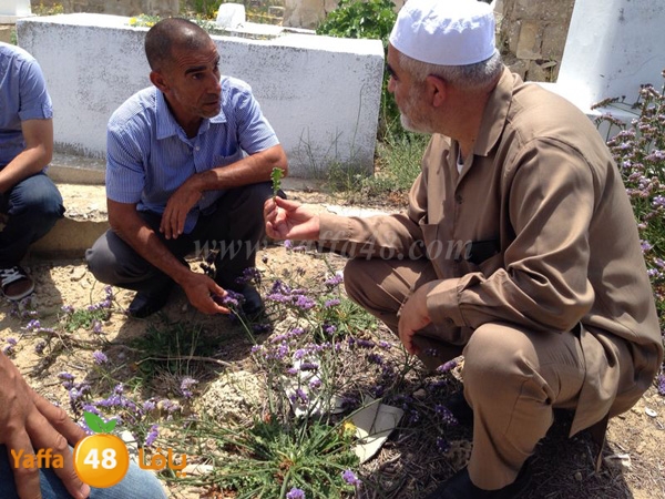 wafd el 7araka kaz 0516 (9).JPG